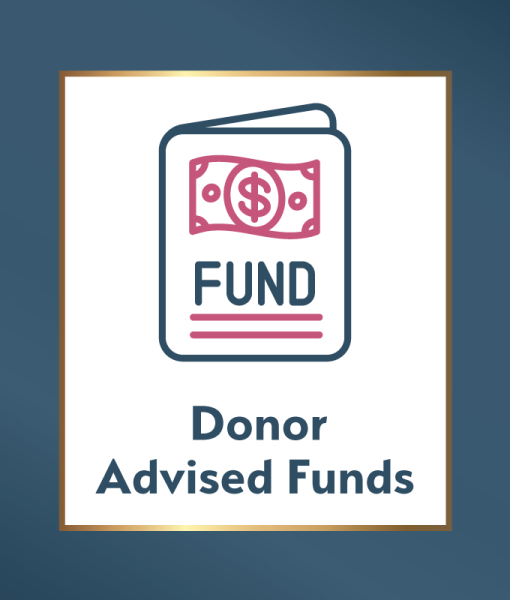 Donor Advised Fund